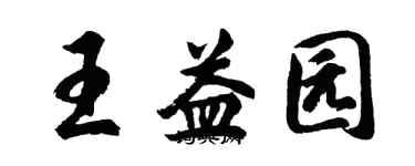 胡问遂王益园行书个性签名怎么写