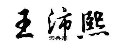 胡问遂王沛熙行书个性签名怎么写