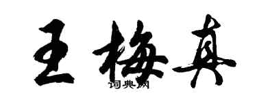 胡问遂王梅真行书个性签名怎么写