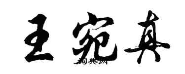 胡问遂王宛真行书个性签名怎么写