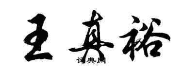 胡问遂王真裕行书个性签名怎么写