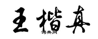 胡问遂王楷真行书个性签名怎么写