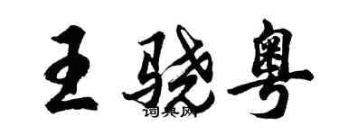 胡问遂王骁粤行书个性签名怎么写