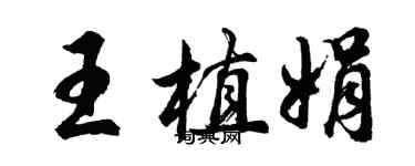 胡问遂王植娟行书个性签名怎么写