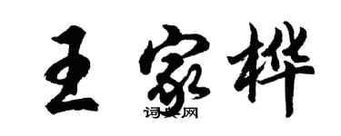 胡问遂王家桦行书个性签名怎么写