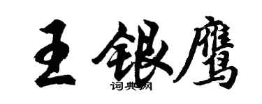 胡问遂王银鹰行书个性签名怎么写