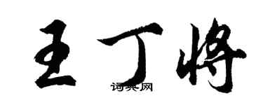 胡问遂王丁将行书个性签名怎么写