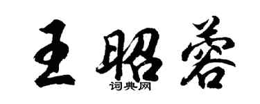 胡问遂王昭蓉行书个性签名怎么写
