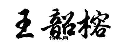 胡问遂王韶榕行书个性签名怎么写