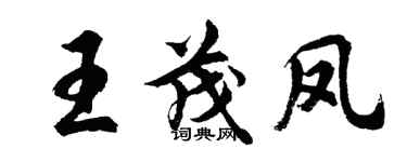 胡问遂王茂凤行书个性签名怎么写