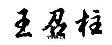 胡问遂王召柱行书个性签名怎么写