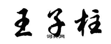 胡问遂王子柱行书个性签名怎么写