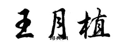胡问遂王月植行书个性签名怎么写