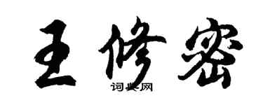 胡问遂王修密行书个性签名怎么写