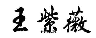 胡问遂王紫薇行书个性签名怎么写