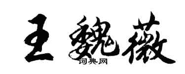 胡问遂王魏薇行书个性签名怎么写