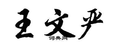 胡问遂王文严行书个性签名怎么写