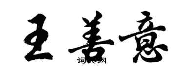 胡问遂王善意行书个性签名怎么写