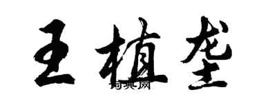 胡问遂王植垄行书个性签名怎么写