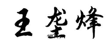 胡问遂王垄烽行书个性签名怎么写