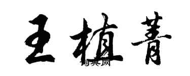 胡问遂王植菁行书个性签名怎么写
