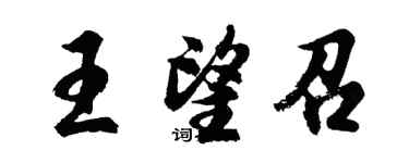 胡问遂王望召行书个性签名怎么写
