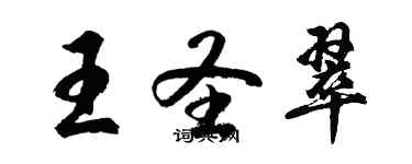 胡问遂王圣翠行书个性签名怎么写