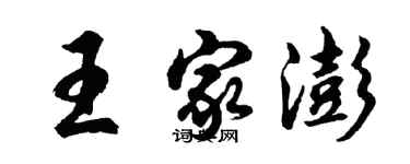 胡问遂王家澎行书个性签名怎么写
