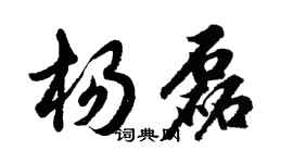 胡问遂杨磊行书个性签名怎么写