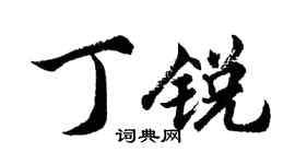 胡问遂丁锐行书个性签名怎么写