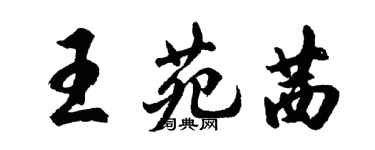 胡问遂王苑茜行书个性签名怎么写