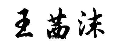 胡问遂王茜沫行书个性签名怎么写