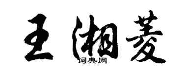 胡问遂王湘菱行书个性签名怎么写
