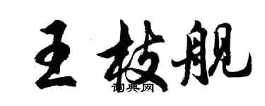 胡问遂王枝舰行书个性签名怎么写
