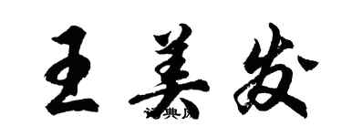 胡问遂王美发行书个性签名怎么写