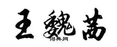 胡问遂王魏茜行书个性签名怎么写