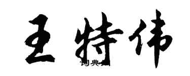 胡问遂王特伟行书个性签名怎么写