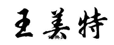 胡问遂王美特行书个性签名怎么写