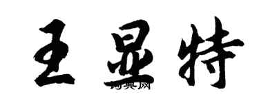 胡问遂王显特行书个性签名怎么写