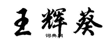 胡问遂王辉葵行书个性签名怎么写