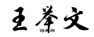 胡问遂王举文行书个性签名怎么写