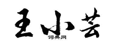 胡问遂王小芸行书个性签名怎么写