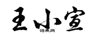 胡问遂王小宣行书个性签名怎么写