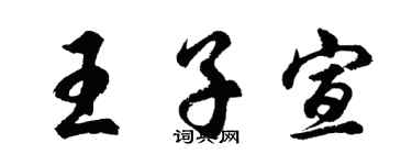 胡问遂王子宣行书个性签名怎么写