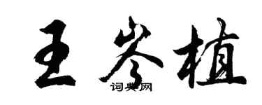 胡问遂王岑植行书个性签名怎么写