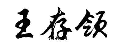 胡问遂王存领行书个性签名怎么写