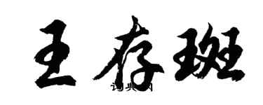 胡问遂王存斑行书个性签名怎么写