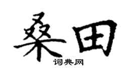 丁谦桑田楷书个性签名怎么写