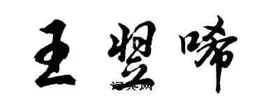 胡问遂王翌唏行书个性签名怎么写