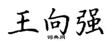 丁谦王向强楷书个性签名怎么写